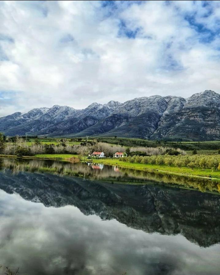 Fraaigelegen Farm - Home Of Adhara Evoo Tulbagh Zewnętrze zdjęcie