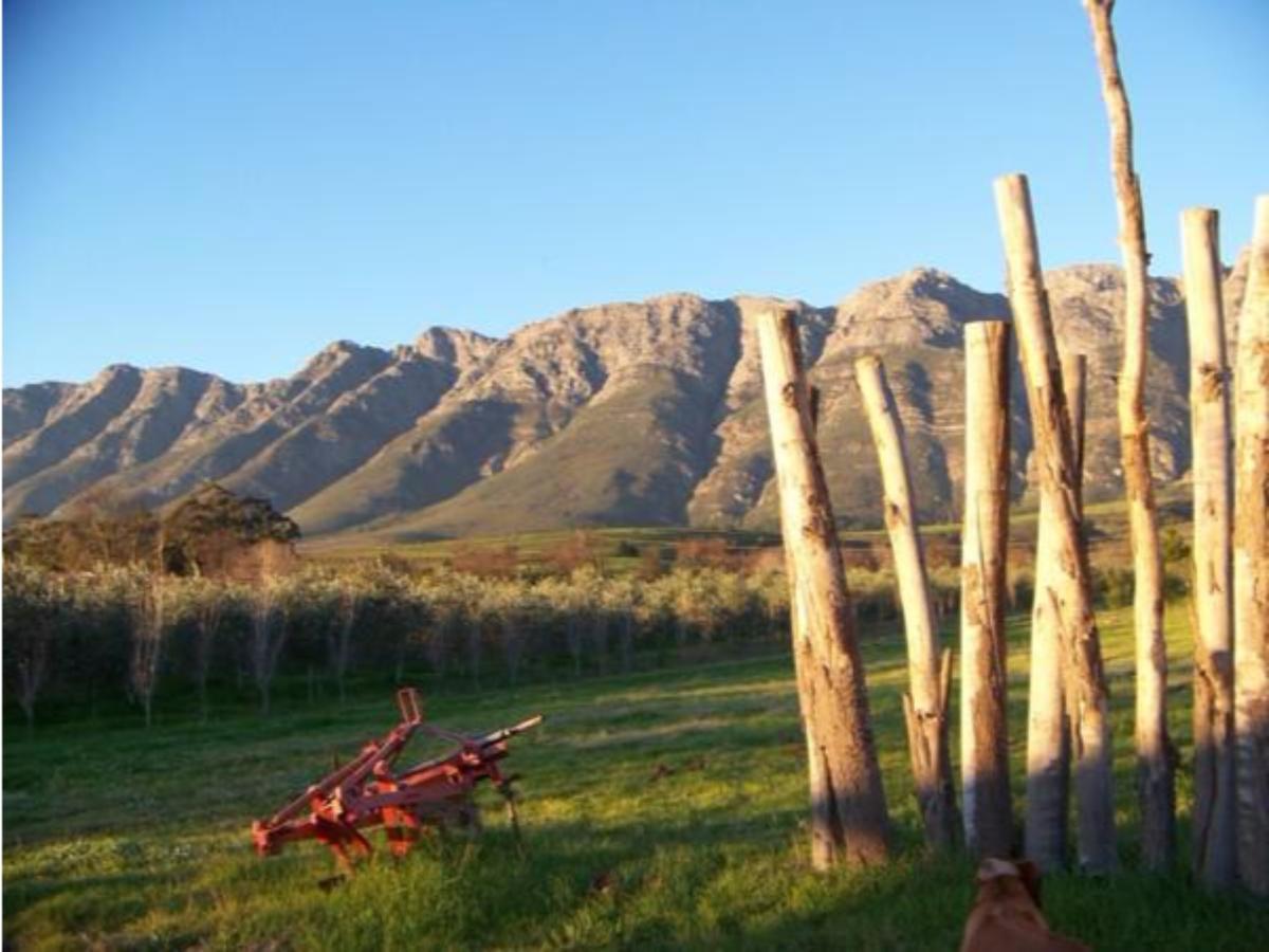 Fraaigelegen Farm - Home Of Adhara Evoo Tulbagh Zewnętrze zdjęcie