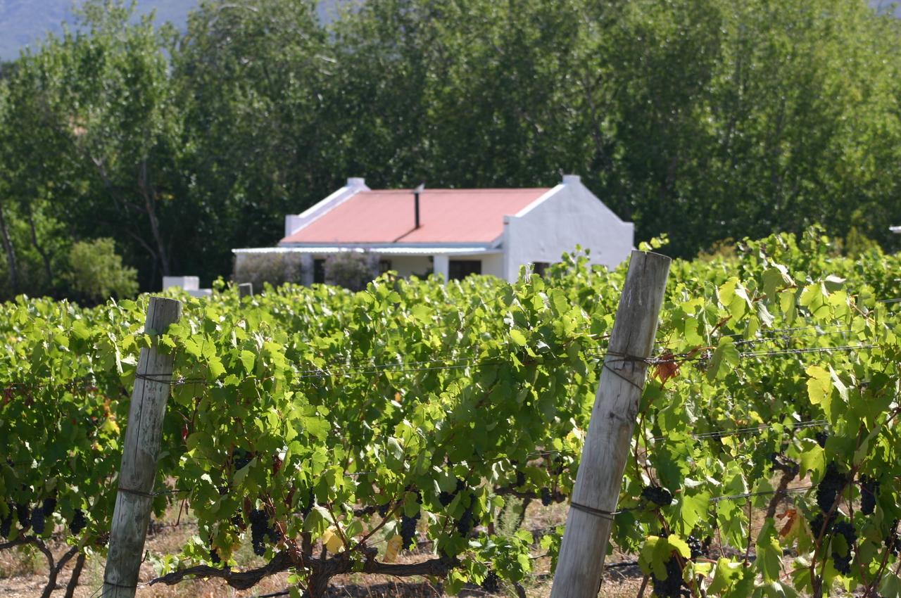 Fraaigelegen Farm - Home Of Adhara Evoo Tulbagh Zewnętrze zdjęcie