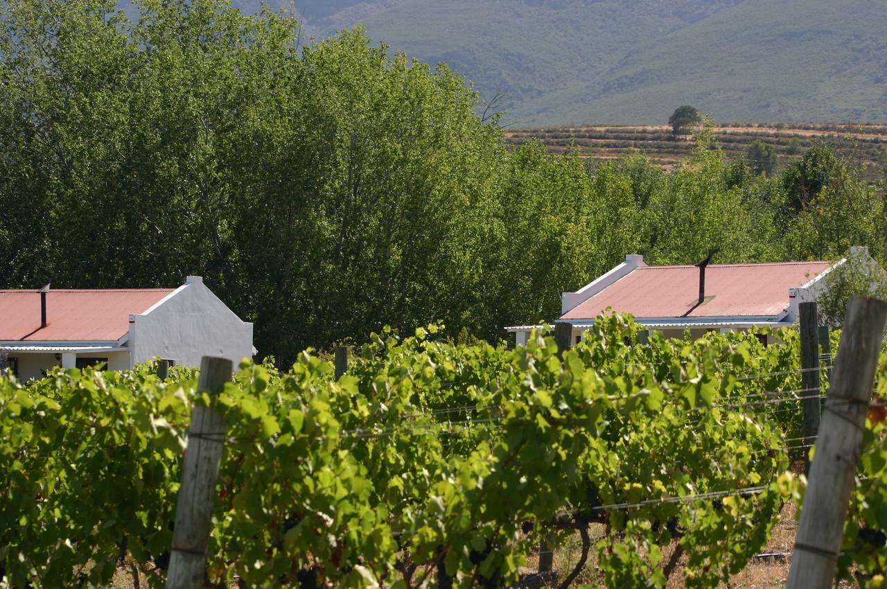 Fraaigelegen Farm - Home Of Adhara Evoo Tulbagh Zewnętrze zdjęcie