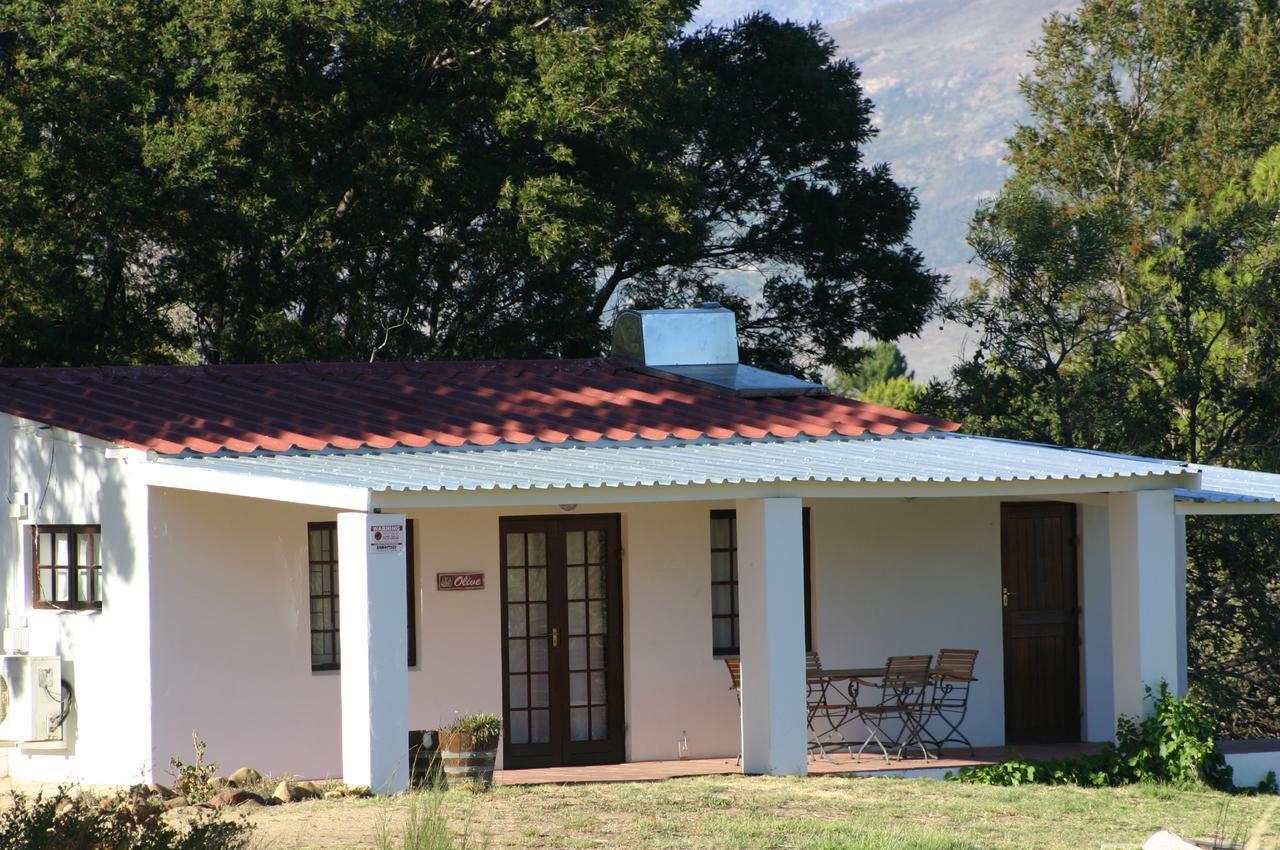 Fraaigelegen Farm - Home Of Adhara Evoo Tulbagh Zewnętrze zdjęcie