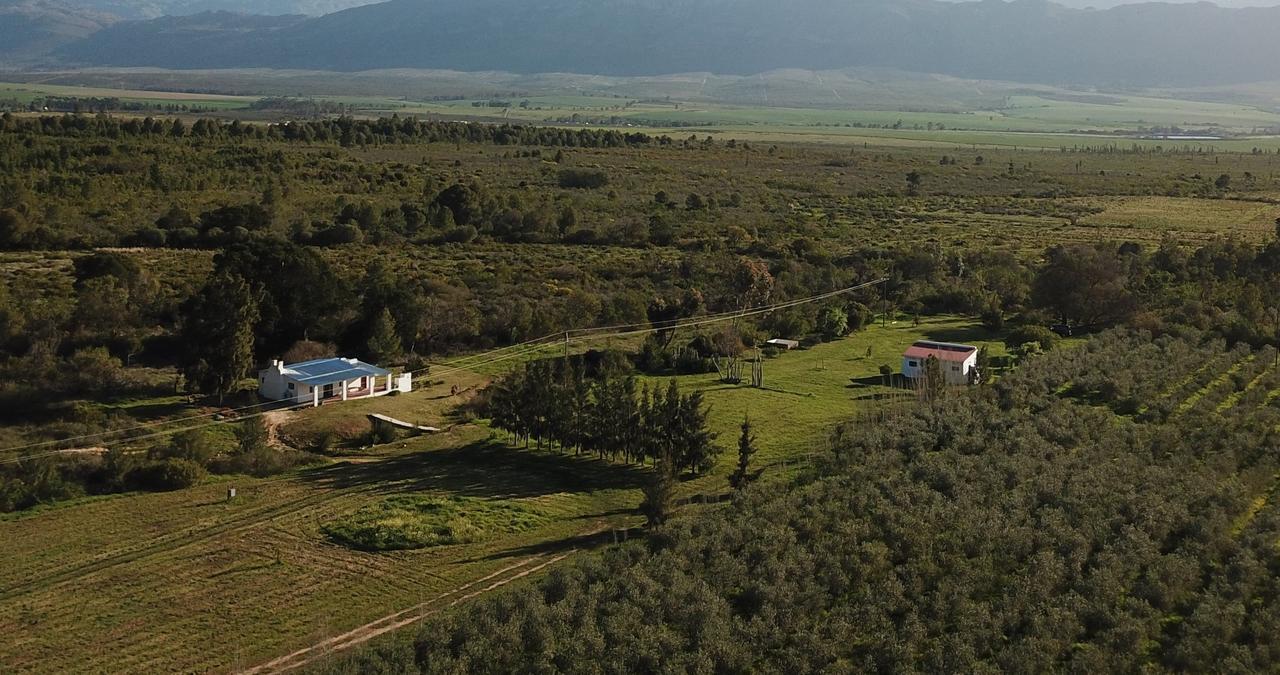 Fraaigelegen Farm - Home Of Adhara Evoo Tulbagh Zewnętrze zdjęcie