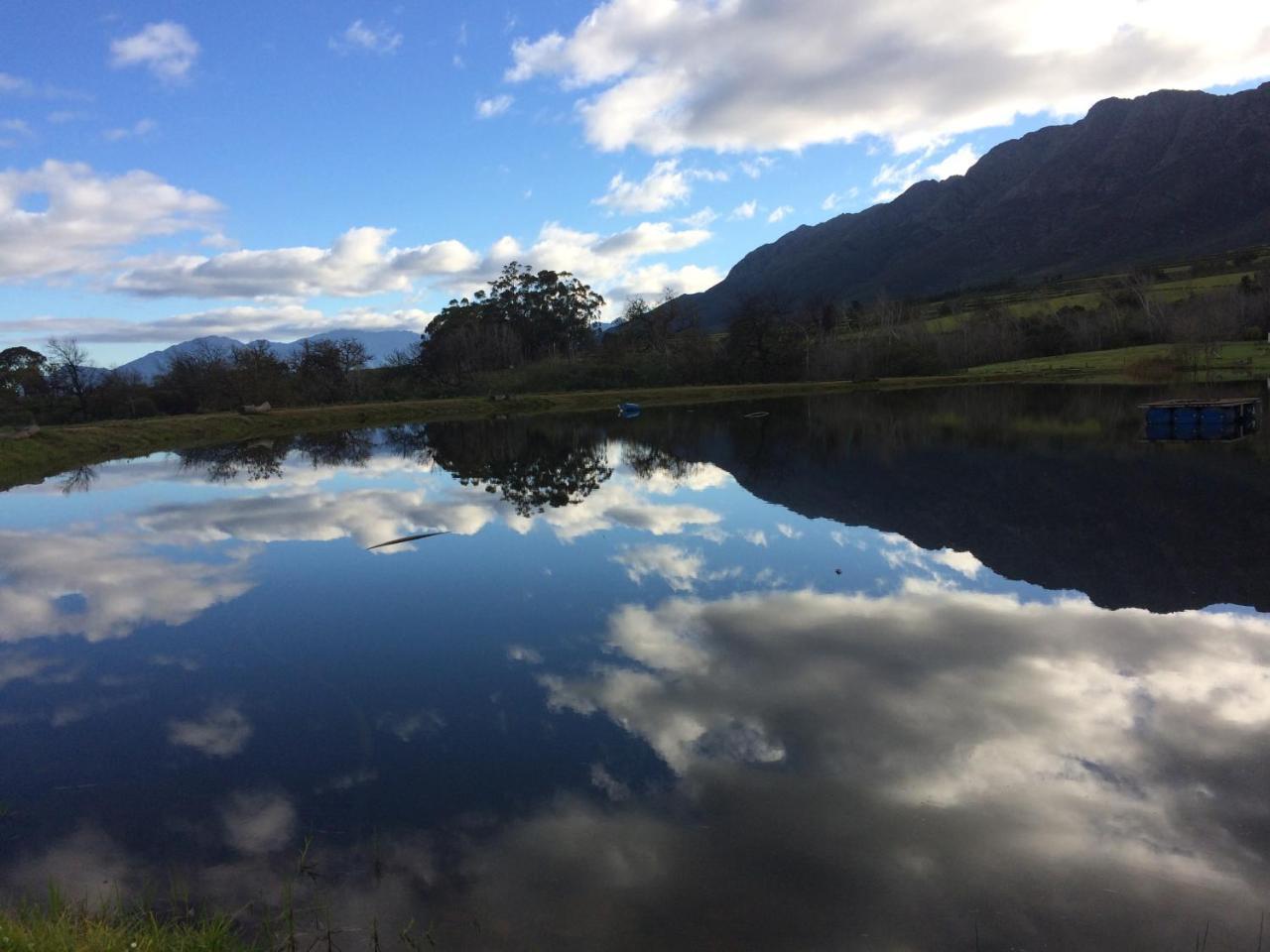 Fraaigelegen Farm - Home Of Adhara Evoo Tulbagh Zewnętrze zdjęcie