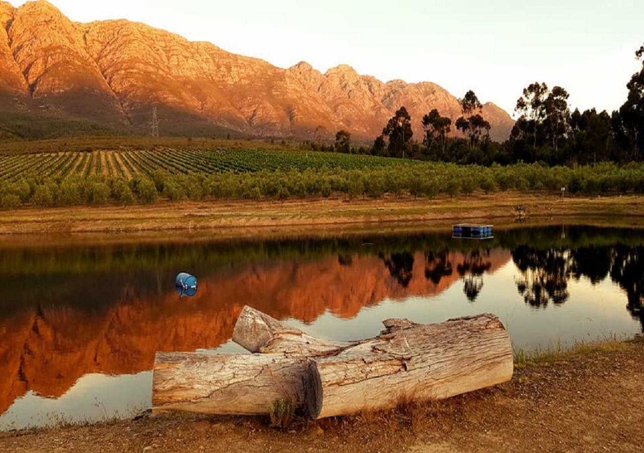 Fraaigelegen Farm - Home Of Adhara Evoo Tulbagh Zewnętrze zdjęcie